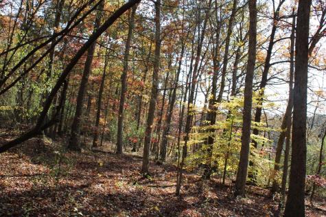 4 Cascade Ridge Masontown WV 26542