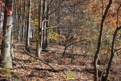 4 Cascade Ridge Masontown WV 26542