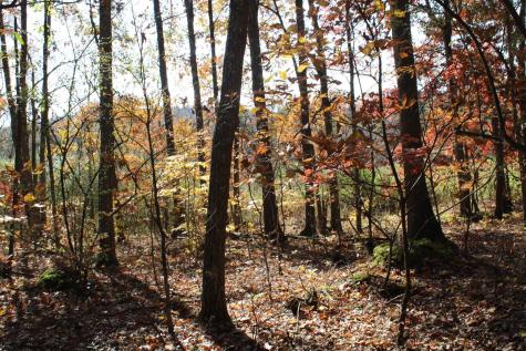 4 Cascade Ridge Masontown WV 26542