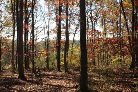 4 Cascade Ridge Masontown WV 26542