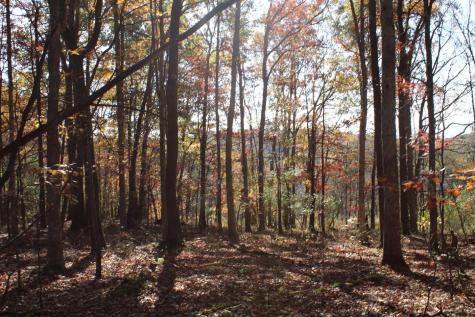 4 Cascade Ridge Masontown WV 26542