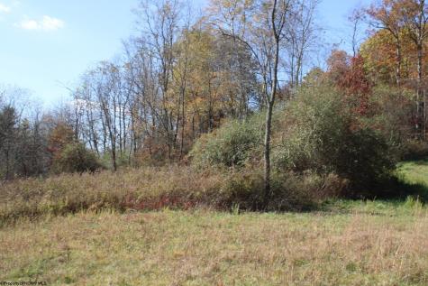 4 Cascade Ridge Masontown WV 26542