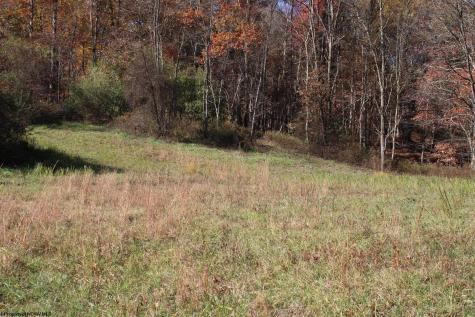 4 Cascade Ridge Masontown WV 26542