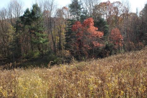 4 Cascade Ridge Masontown WV 26542