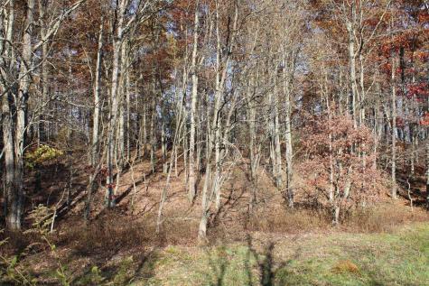 4 Cascade Ridge Masontown WV 26542