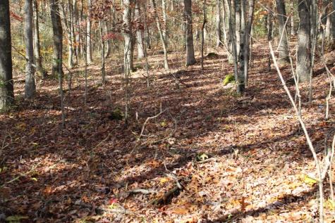 4 Cascade Ridge Masontown WV 26542