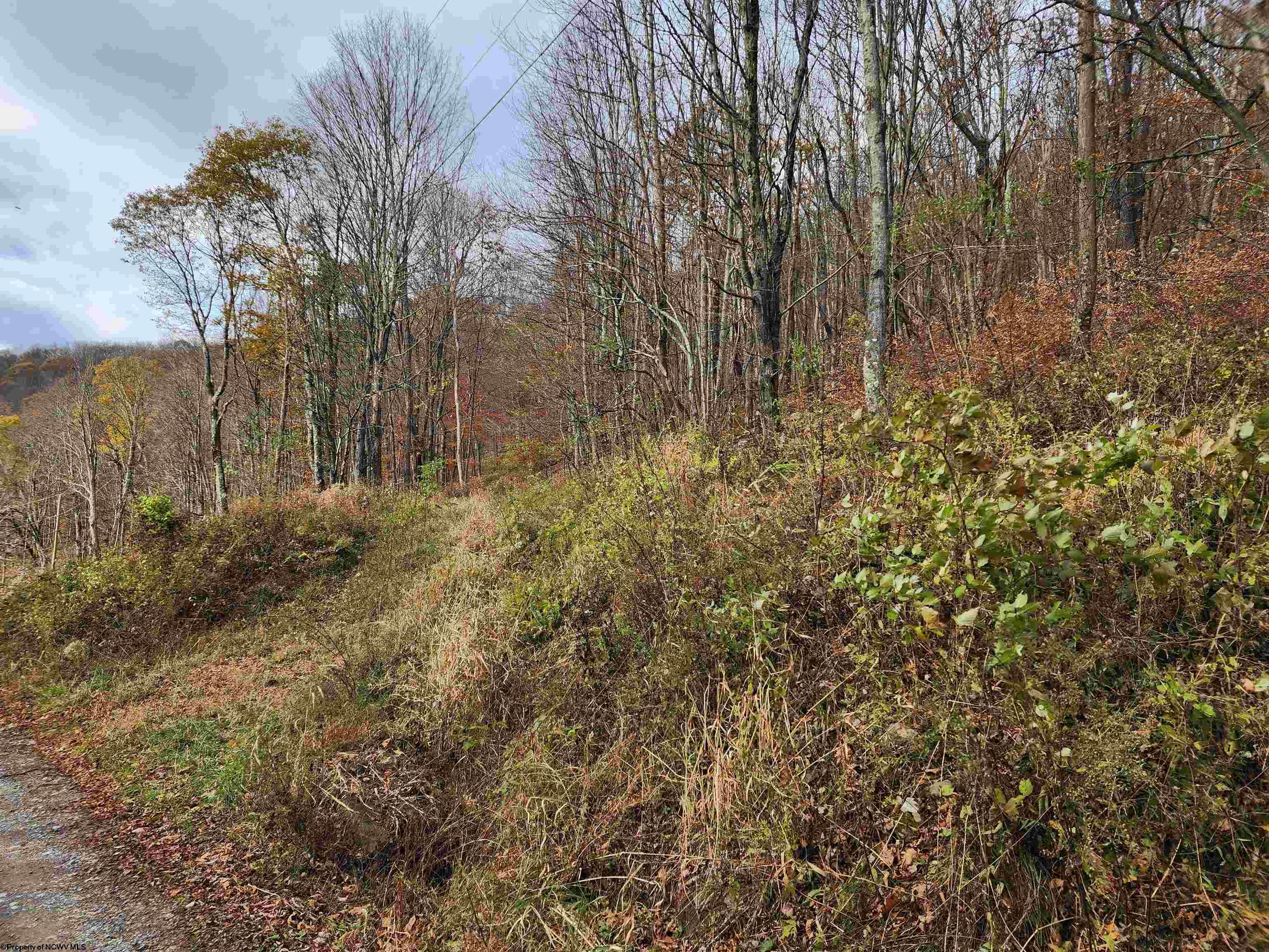 20 E Meadows Road Harman WV 26270