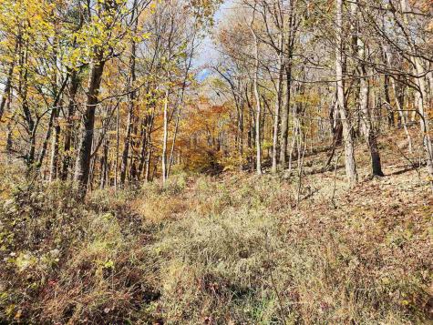 20 E Meadows Road Harman WV 26270