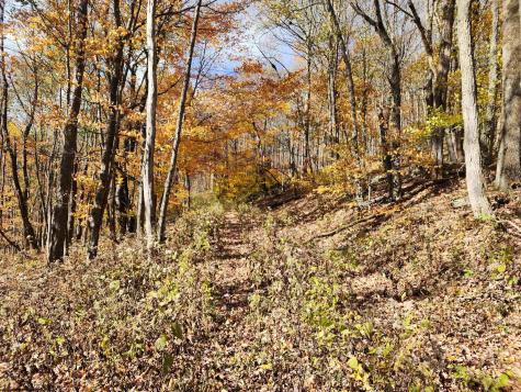 20 E Meadows Road Harman WV 26270