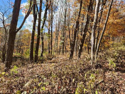 20 E Meadows Road Harman WV 26270