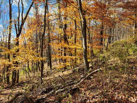 20 E Meadows Road Harman WV 26270