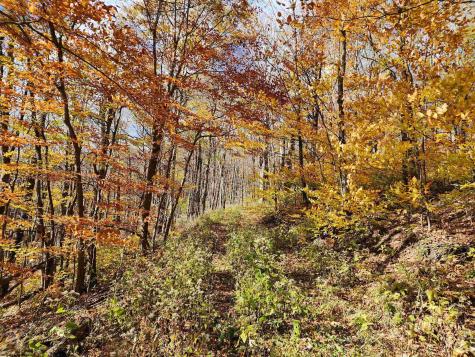 20 E Meadows Road Harman WV 26270