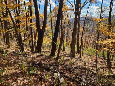 20 E Meadows Road Harman WV 26270
