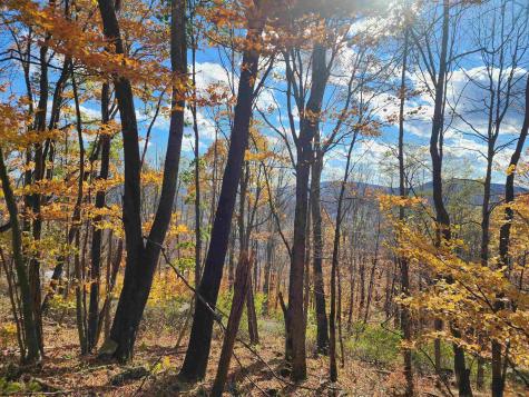20 E Meadows Road Harman WV 26270
