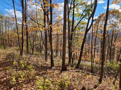 20 E Meadows Road Harman WV 26270