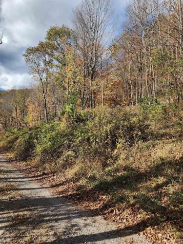 20 E Meadows Road Harman WV 26270