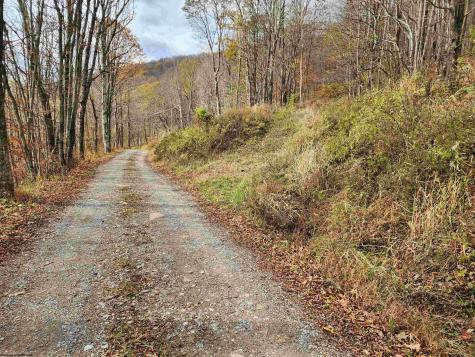 20 E Meadows Road Harman WV 26270
