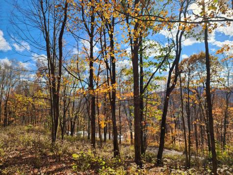 20 E Meadows Road Harman WV 26270