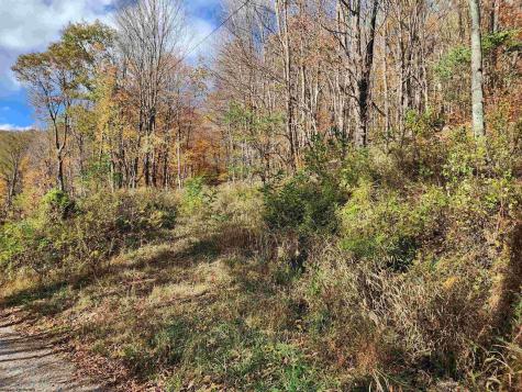 20 E Meadows Road Harman WV 26270
