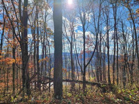 20 E Meadows Road Harman WV 26270