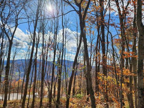20 E Meadows Road Harman WV 26270