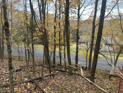 125 Alpine Drive Terra Alta WV 26764
