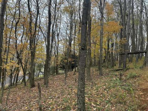 125 Alpine Drive Terra Alta WV 26764