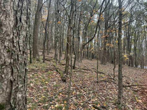 125 Alpine Drive Terra Alta WV 26764