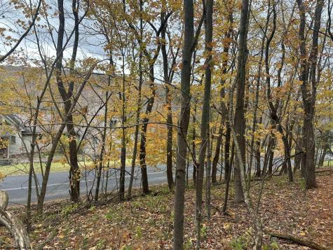 125 Alpine Drive Terra Alta WV 26764