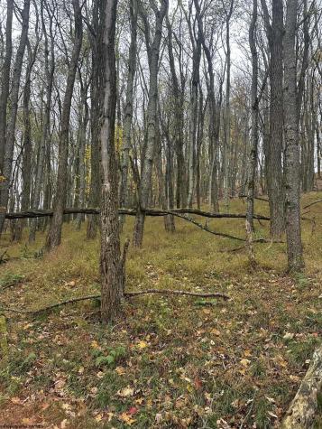 125 Alpine Drive Terra Alta WV 26764