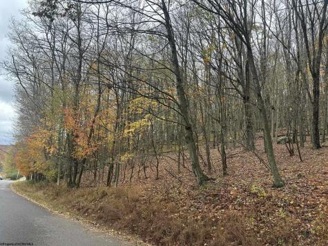 125 Alpine Drive Terra Alta WV 26764