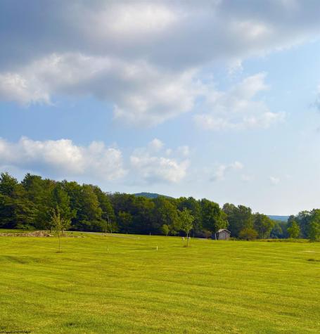 Lot 29 Katy Lane Davis WV 26260