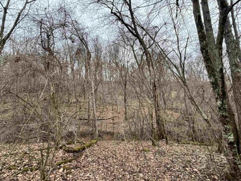 10470 Morgantown Pike Philippi WV 26416