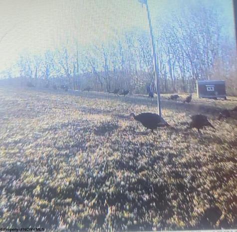 10470 Morgantown Pike Philippi WV 26416