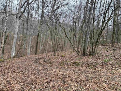 10470 Morgantown Pike Philippi WV 26416