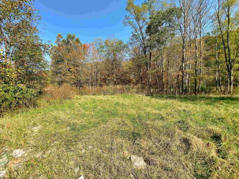 1 Blizzards Gate Road Harman WV 26270