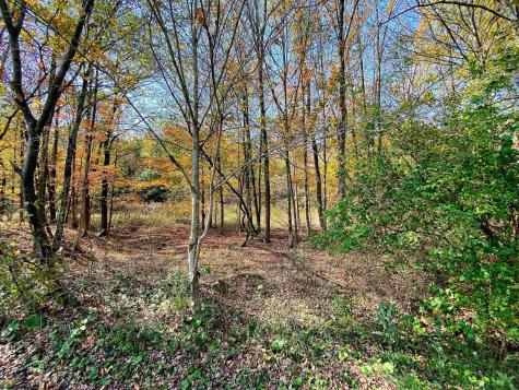 1 Blizzards Gate Road Harman WV 26270