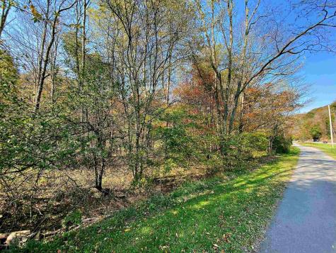 1 Blizzards Gate Road Harman WV 26270