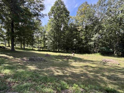 152 Rocky Lane Volga WV 26238