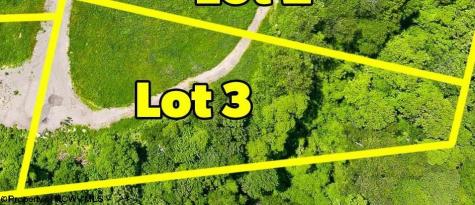 3 Laurel Run Pisgah Road Bruceton Mills WV 26525
