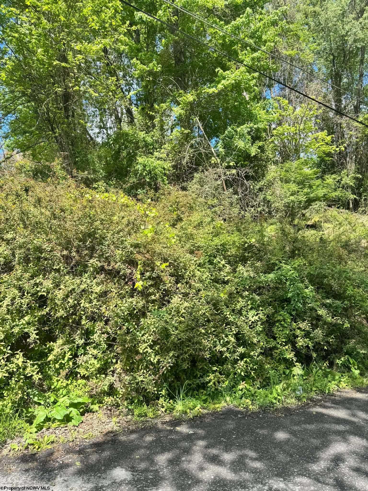 0 Elkins Avenue Kingwood WV 26537