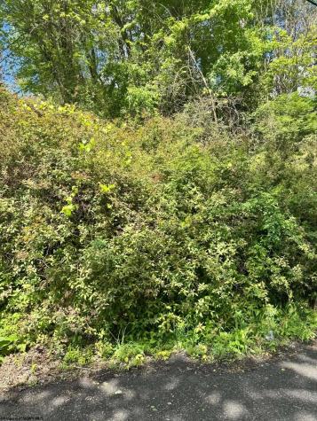0 Elkins Avenue Kingwood WV 26537