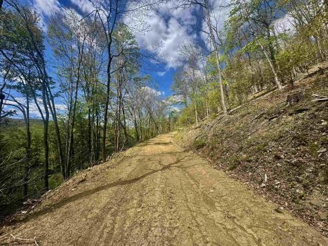 0 Staunton Parkersburg Turnpike Durbin WV 26264