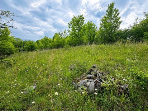 4 Iron Horse Lane Dryfork WV 26263
