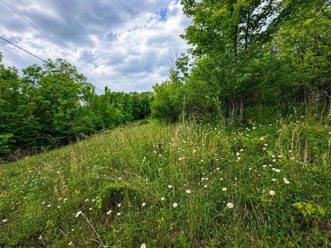 4 Iron Horse Lane Dryfork WV 26263