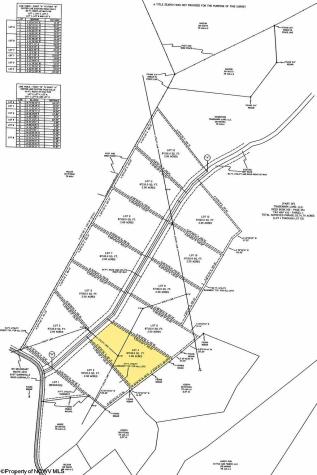 4 Iron Horse Lane Dryfork WV 26263