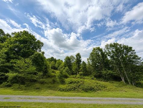 4 Iron Horse Lane Dryfork WV 26263