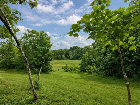 4 Iron Horse Lane Dryfork WV 26263