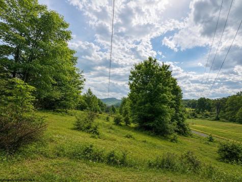 4 Iron Horse Lane Dryfork WV 26263