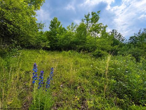 4 Iron Horse Lane Dryfork WV 26263